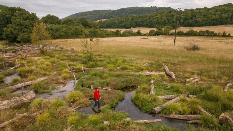 An aerial view of a river with large logs placed in it, Holnicote, Somerset